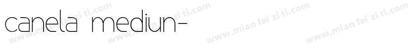 canela mediun字体转换